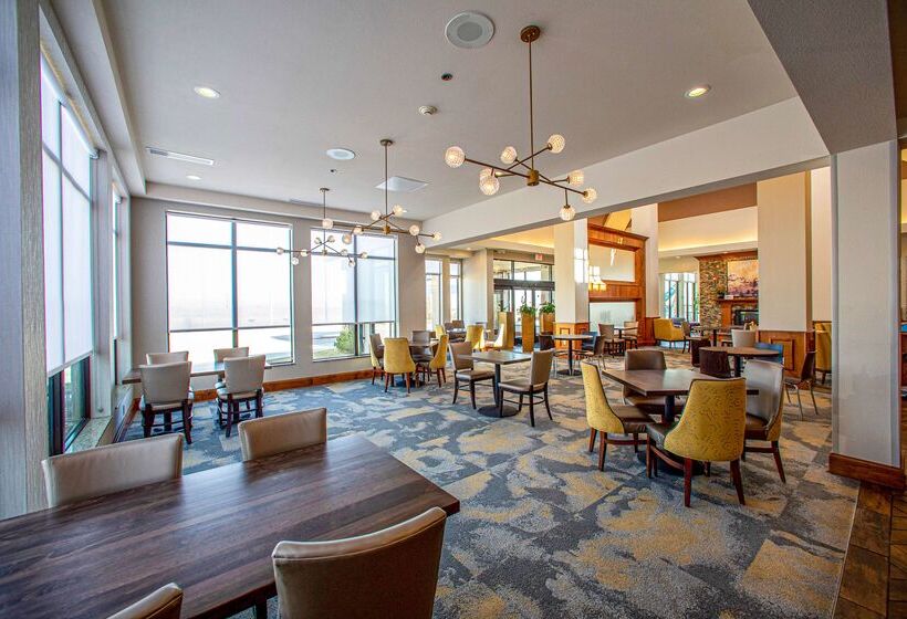 فندق Hilton Garden Inn Rapid City