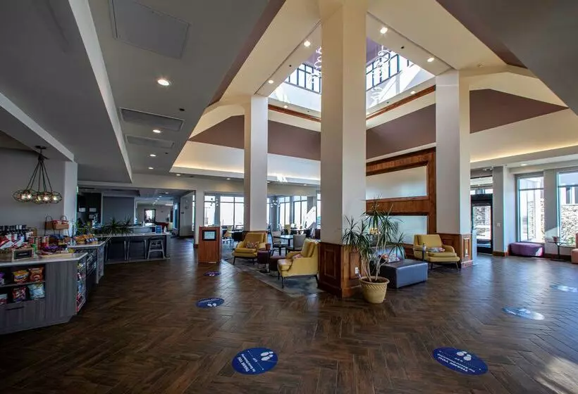 Hôtel Hilton Garden Inn Rapid City