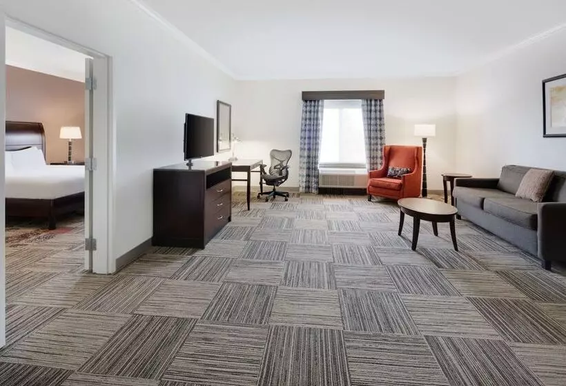 هتل Hilton Garden Inn Tyler
