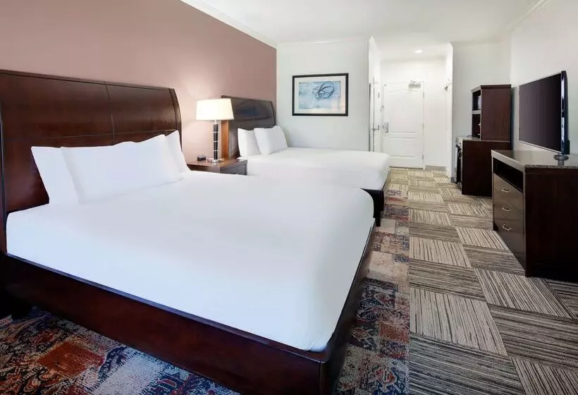 هتل Hilton Garden Inn Tyler