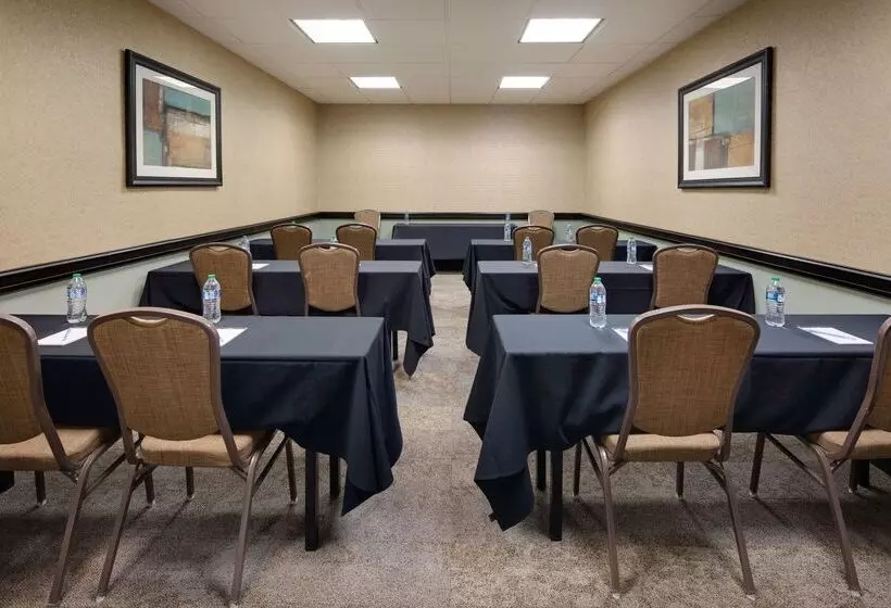 هتل Hilton Garden Inn Tyler