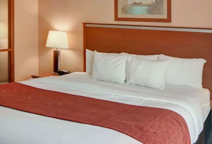 فندق Quality Suites Near Cedar Creek Lake