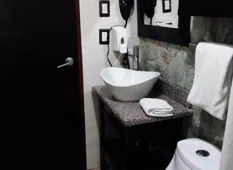 호텔 Villa Florencia Zona Rosa