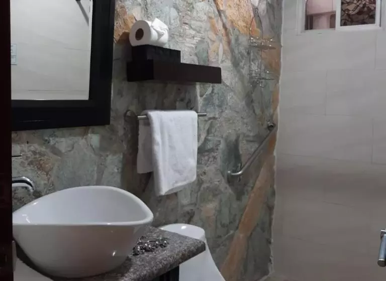 호텔 Villa Florencia Zona Rosa