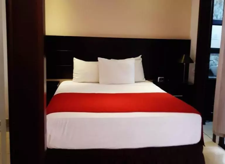 호텔 Villa Florencia Zona Rosa