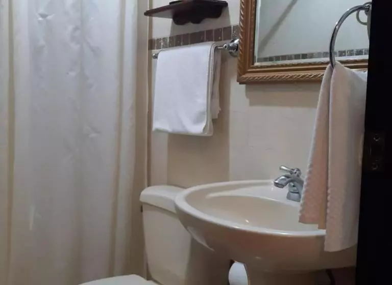 호텔 Villa Florencia Zona Rosa