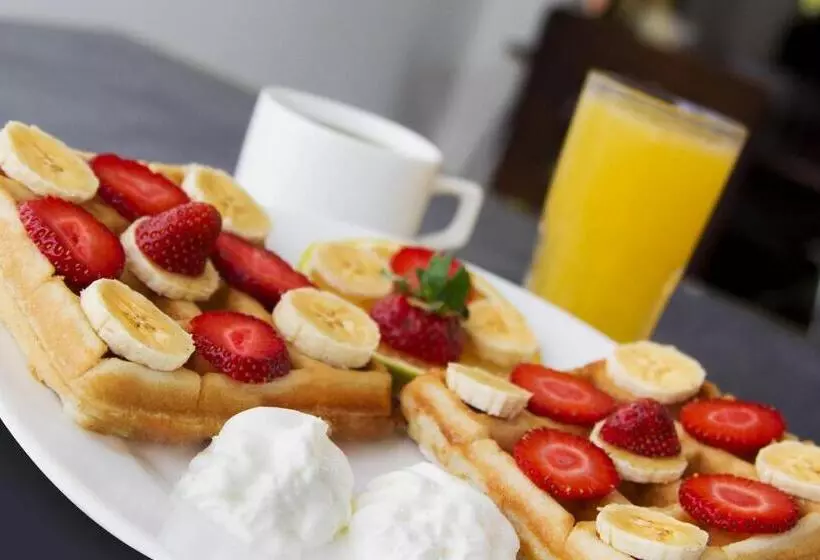 호텔 Villa Florencia Zona Rosa