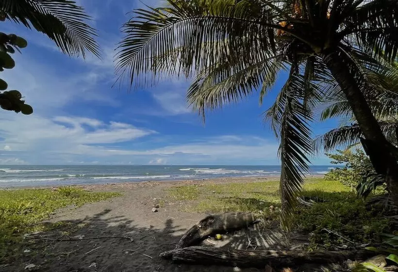 Aamiaismajoitus (B&B) El Icaco Tortuguero