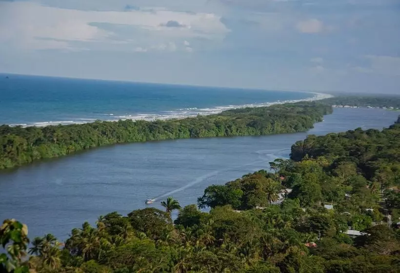 Aamiaismajoitus (B&B) El Icaco Tortuguero