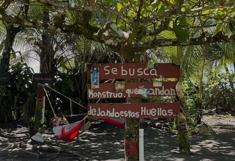 Aamiaismajoitus (B&B) El Icaco Tortuguero