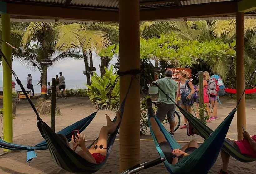 Aamiaismajoitus (B&B) El Icaco Tortuguero