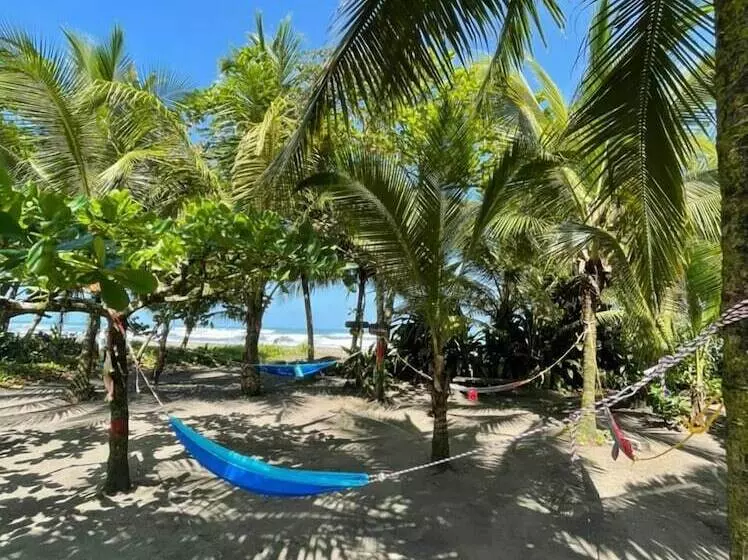 Aamiaismajoitus (B&B) El Icaco Tortuguero