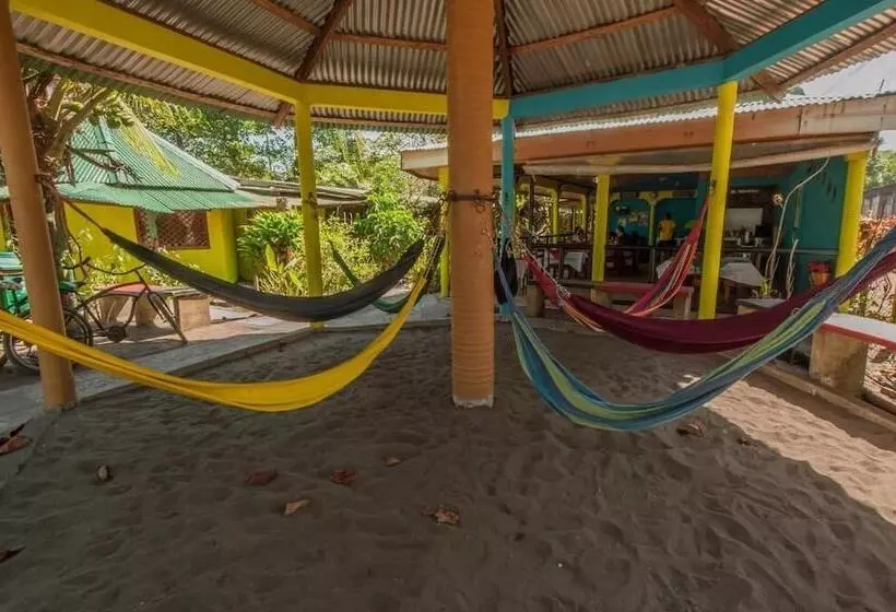 Aamiaismajoitus (B&B) El Icaco Tortuguero