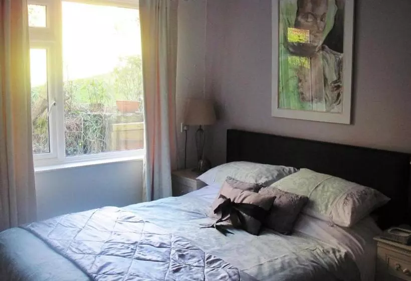 Bed and Breakfast Shrubdown