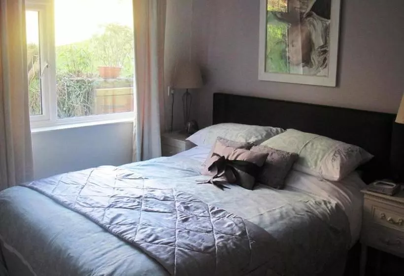 Bed and Breakfast Shrubdown