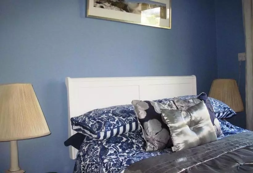 Bed and Breakfast Shrubdown