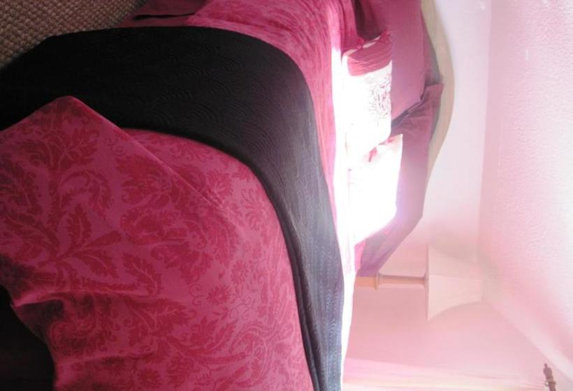 住宿加早餐  Shrubdown