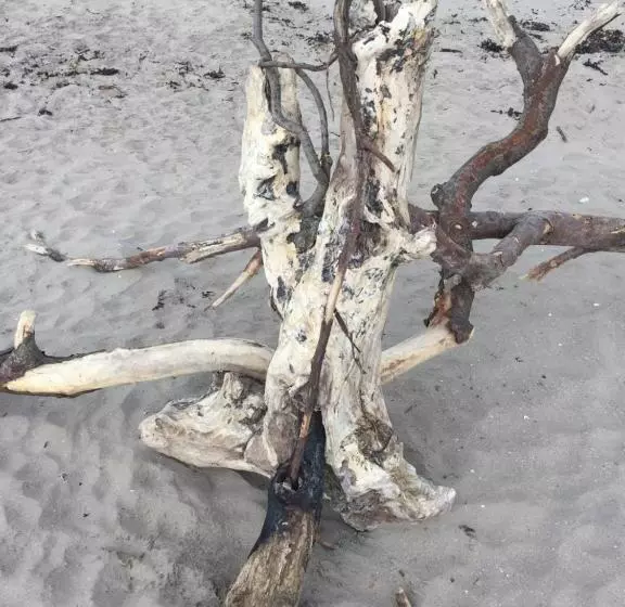 Nocleg ze śniadaniem Bythesea Guest House