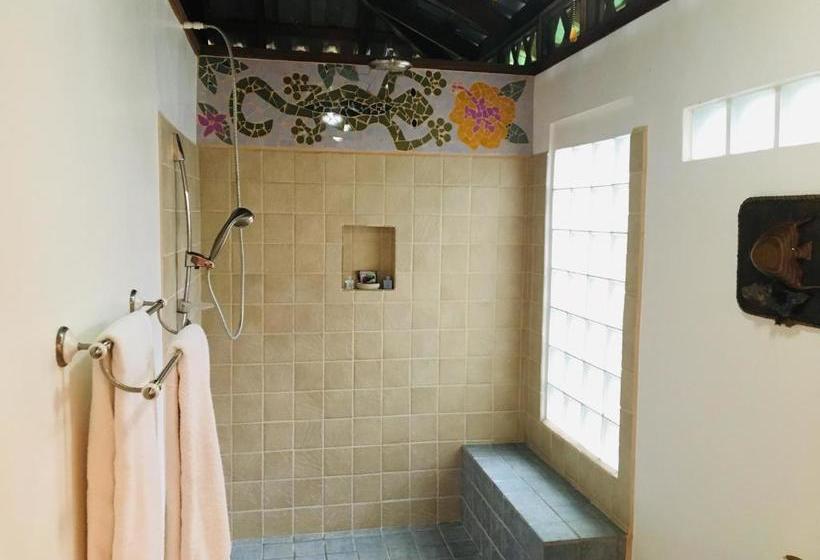 Coral Hill Bungalows