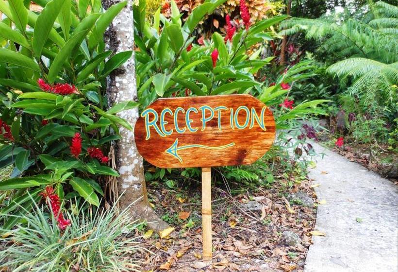 Coral Hill Bungalows