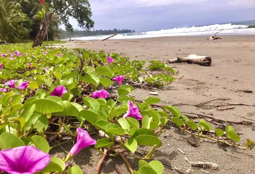 Coral Hill Bungalows
