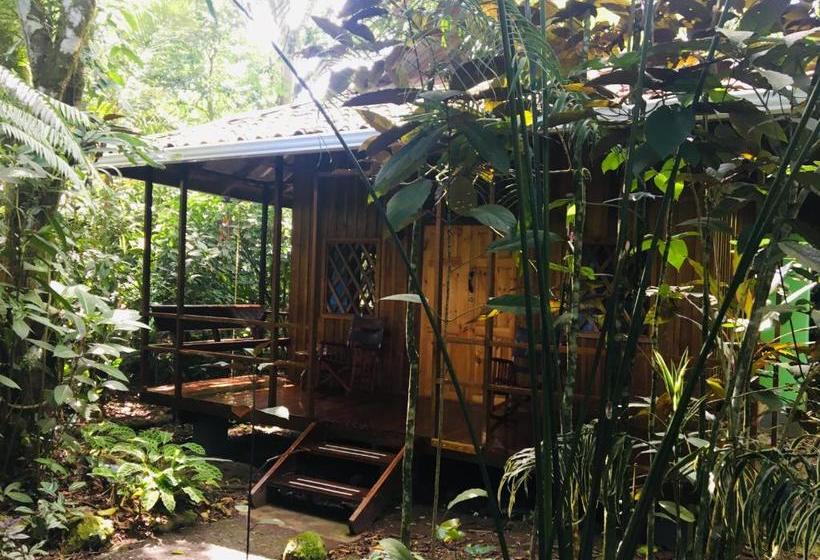 Coral Hill Bungalows