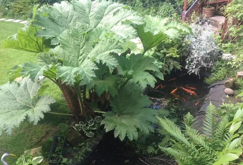 בית מלון כפרי Avonpark House