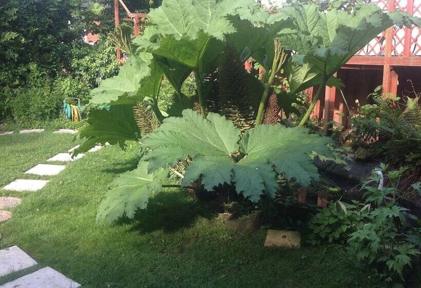 בית מלון כפרי Avonpark House