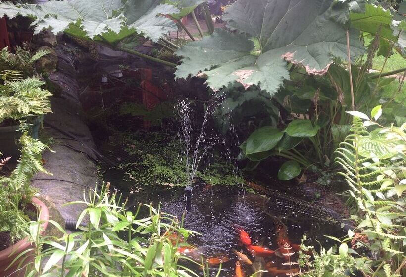 בית מלון כפרי Avonpark House