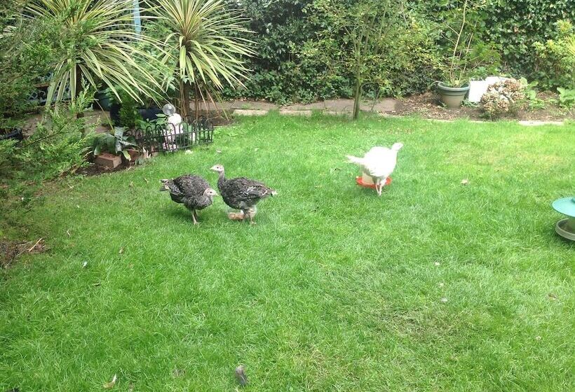 בית מלון כפרי Avonpark House