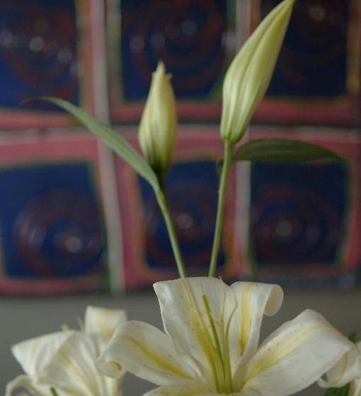 בית מלון כפרי Canal Aigues Mortes