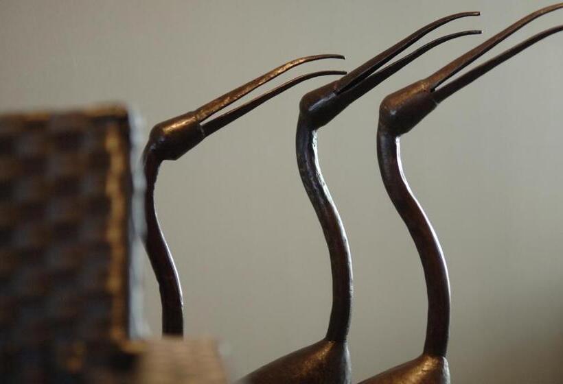 בית מלון כפרי Canal Aigues Mortes