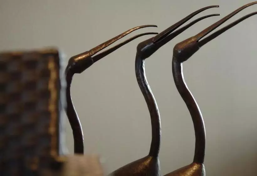 Hotel Canal Aigues Mortes