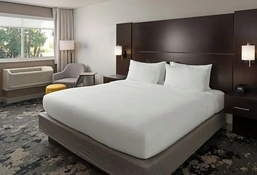 ホテル City Express by Marriott Orlando International Drive