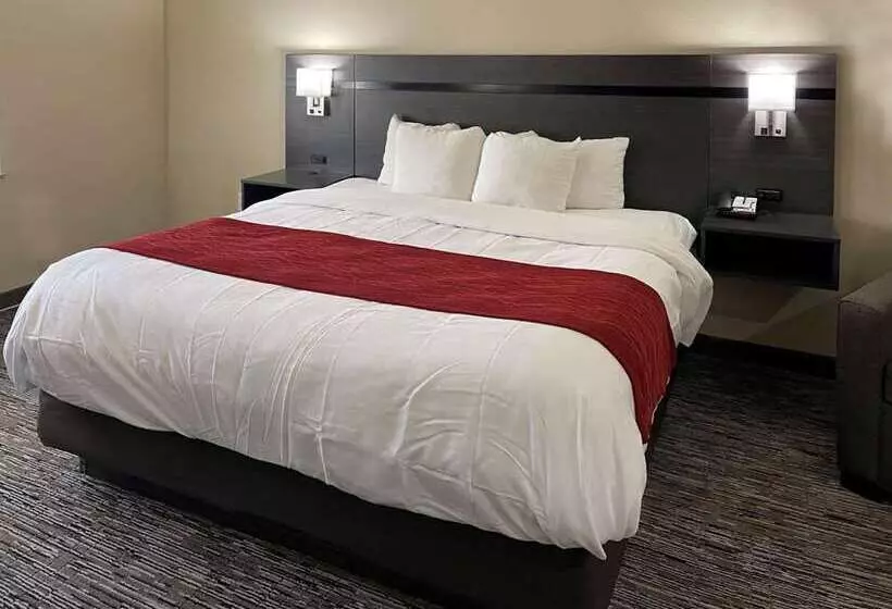 Comfort Inn By Choice Hotels Orange, Tx