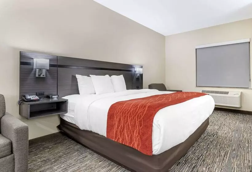 Comfort Inn By Choice Hotels Orange, Tx