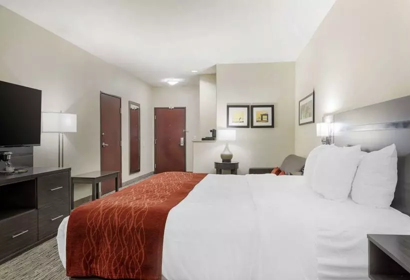 Comfort Inn By Choice Hotels Orange, Tx