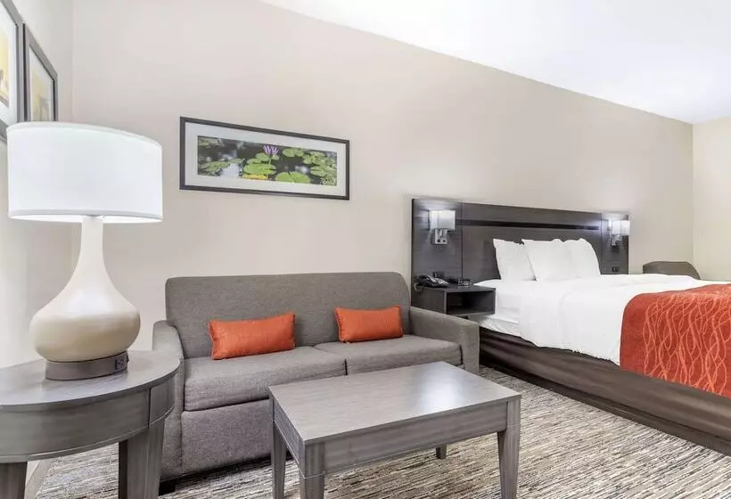 Comfort Inn By Choice Hotels Orange, Tx