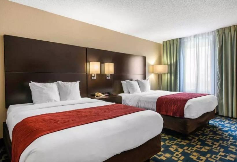 ホテル Comfort Inn & Suites Near Universal Orlando Resortconvention Ctr