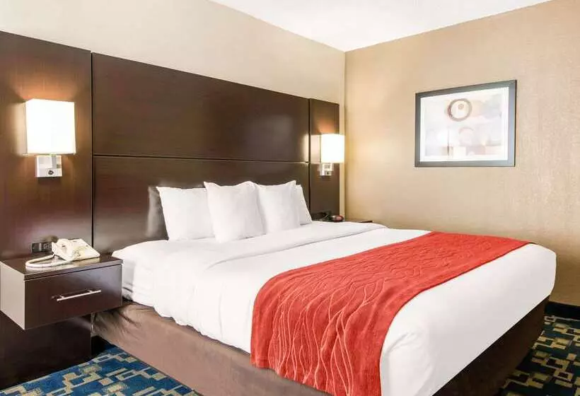 هتل Comfort Inn & Suites Near Universal Orlando Resortconvention Ctr