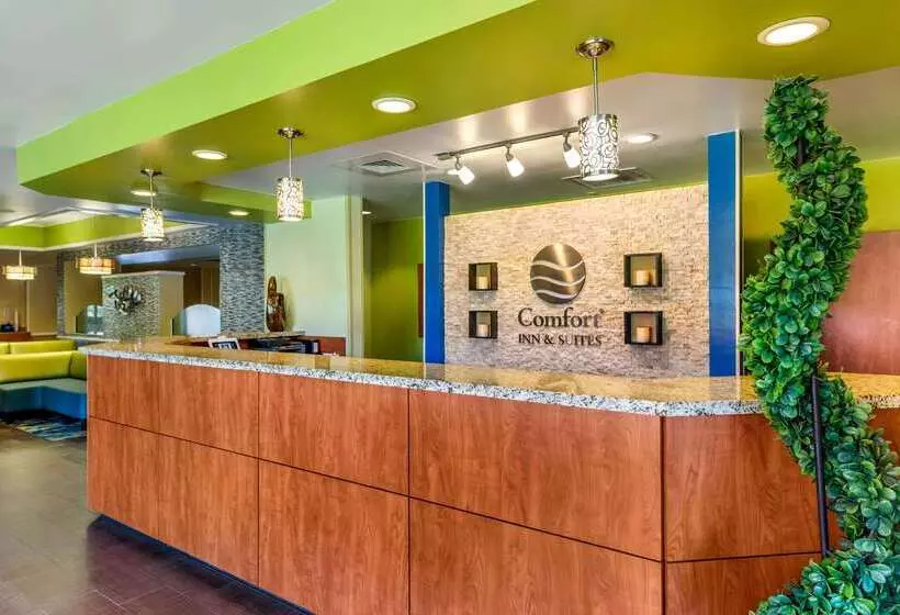 هتل Comfort Inn & Suites Near Universal Orlando Resortconvention Ctr