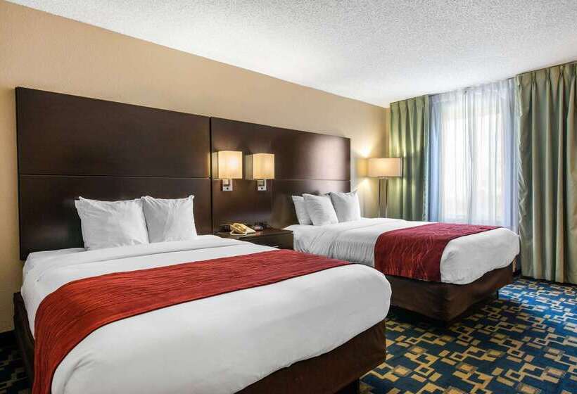 ホテル Comfort Inn & Suites Near Universal Orlando Resortconvention Ctr