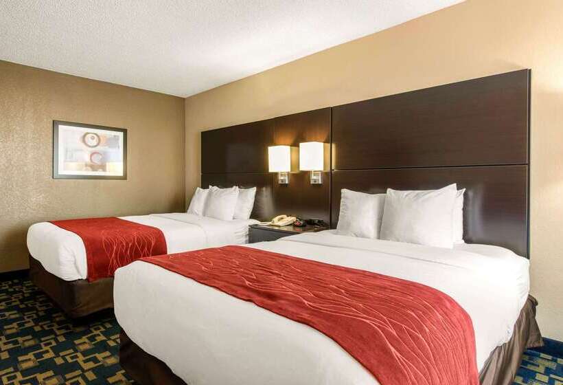 ホテル Comfort Inn & Suites Near Universal Orlando Resortconvention Ctr