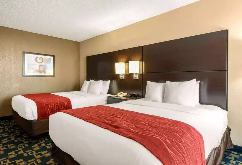 هتل Comfort Inn & Suites Near Universal Orlando Resortconvention Ctr