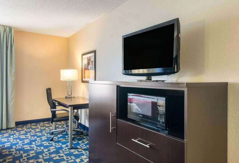 ホテル Comfort Inn & Suites Near Universal Orlando Resortconvention Ctr
