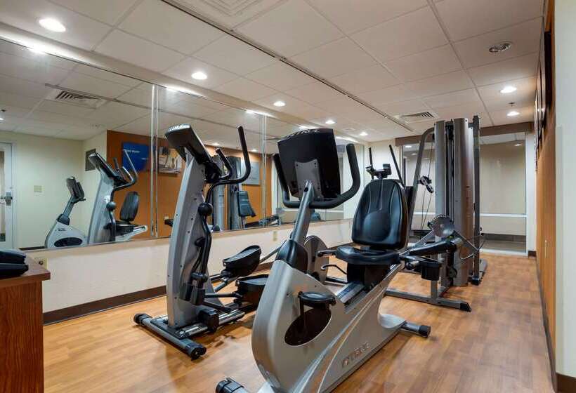 酒店 Comfort Suites Foley  North Gulf Shores