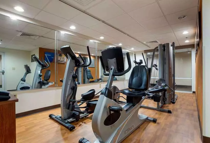 ホテル Comfort Suites Foley North Gulf Shores