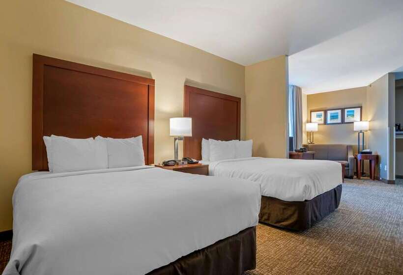 酒店 Comfort Suites Foley  North Gulf Shores