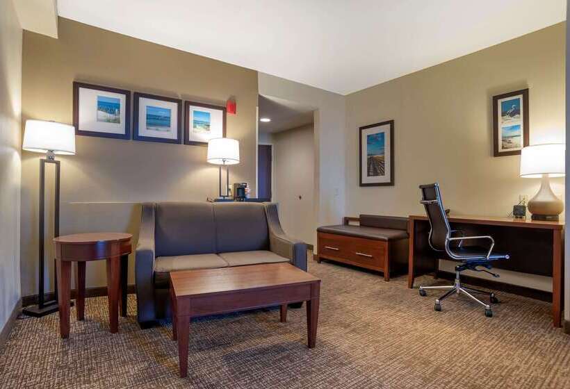 酒店 Comfort Suites Foley  North Gulf Shores