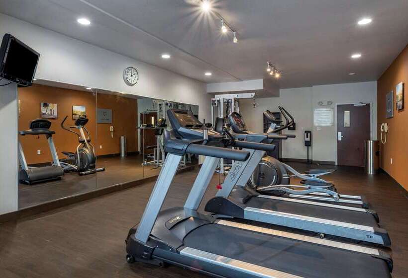 Отель Comfort Suites Natchitoches